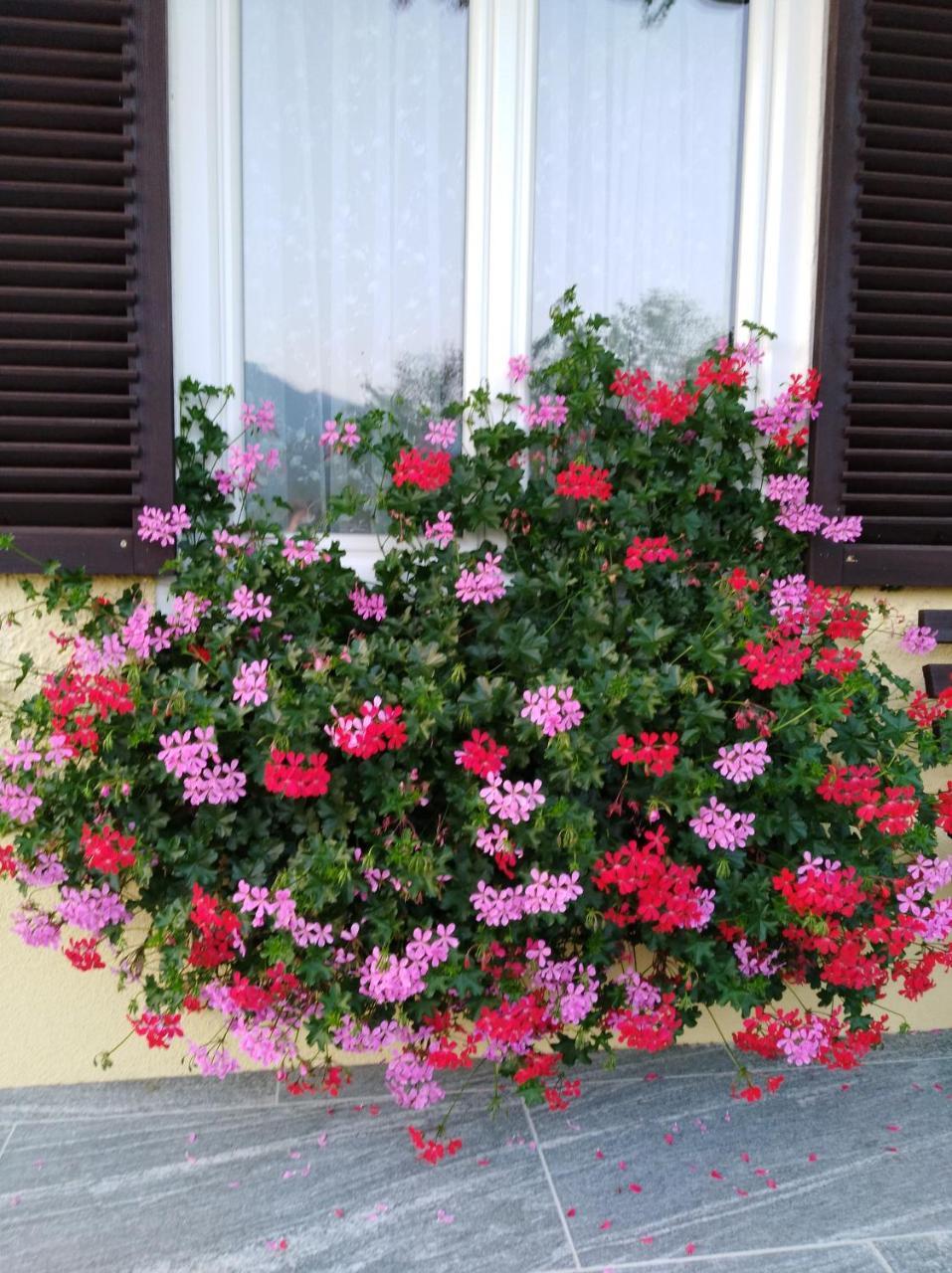 Bed and Breakfast Haus Amalia Strobl Exterior foto